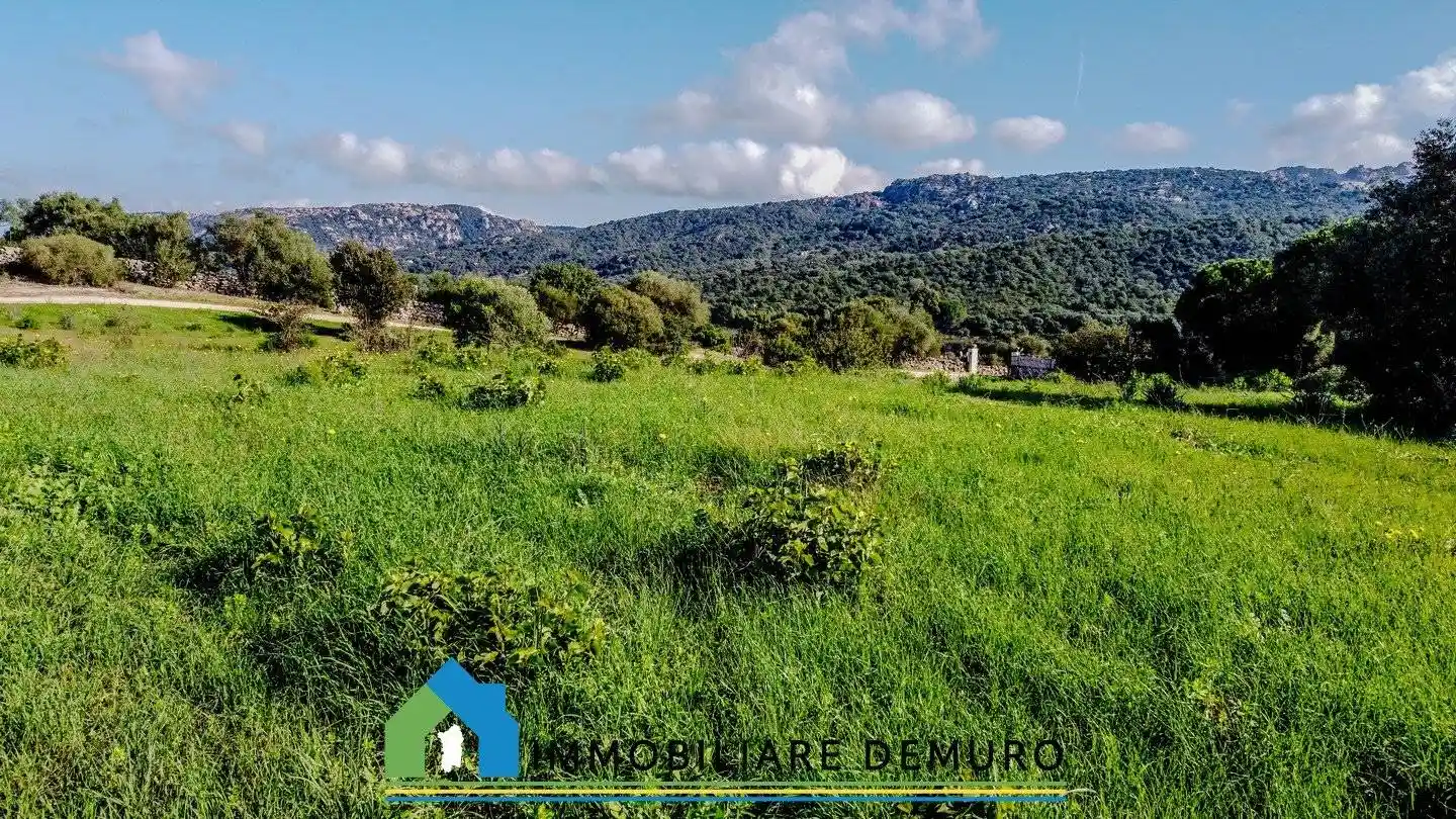 Casale Strada Statale Orientale Sarda, San Pantaleo, Olbia - foto 5