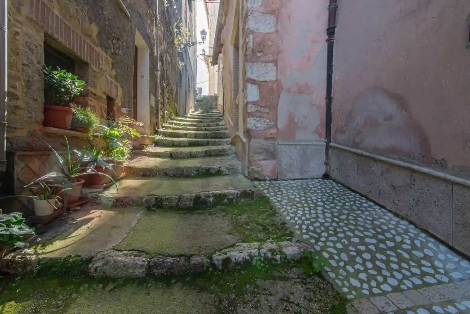 Palazzo - Edificio - foto 4