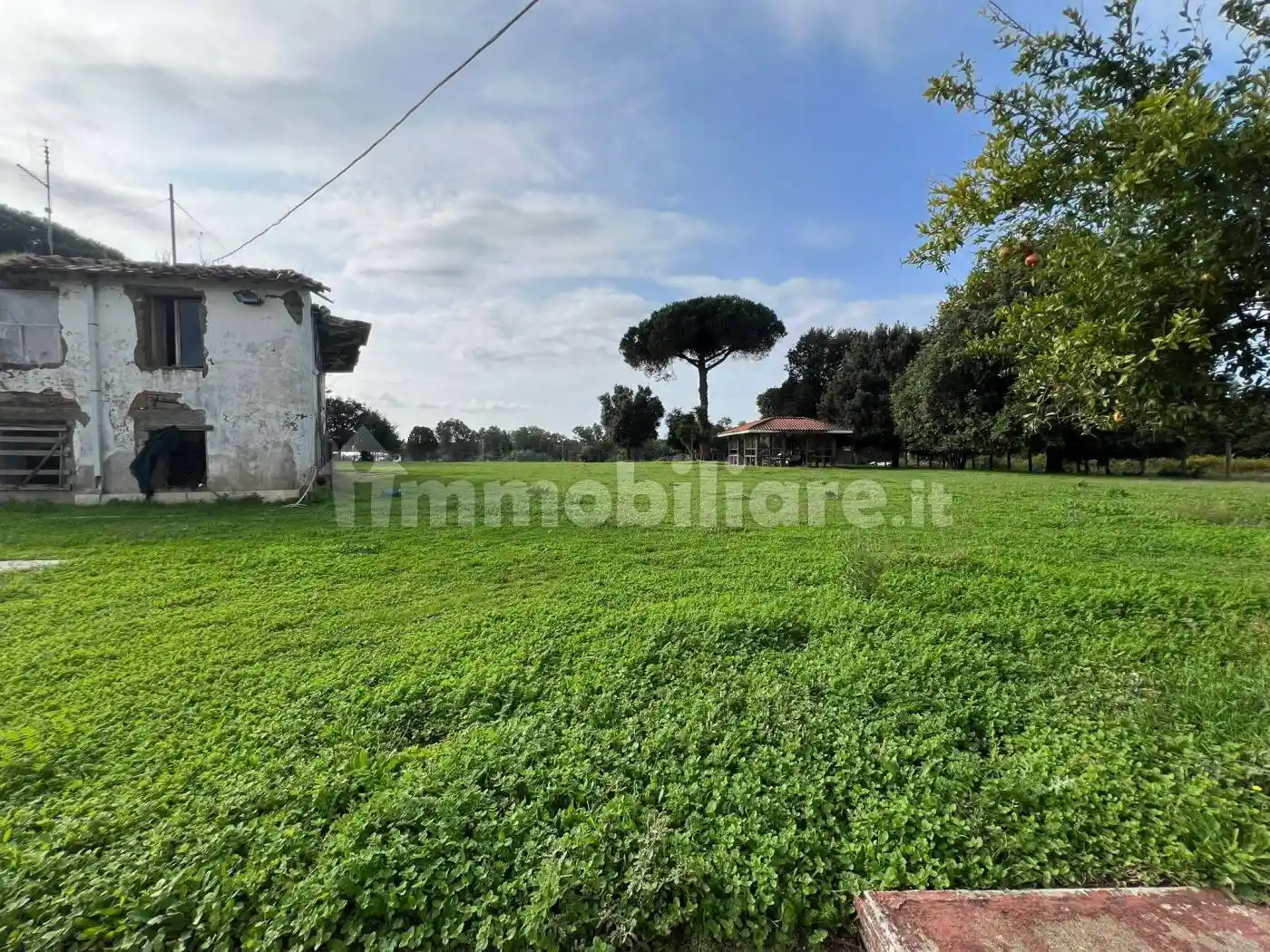 Casale Strada Torre del Giglio, Acciarella, Latina - foto 3