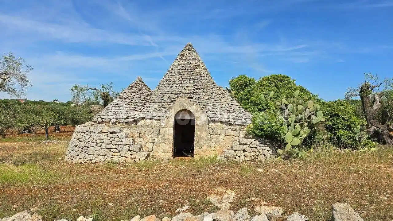 Rustico - Casale in vendita a Polignano a Mare
