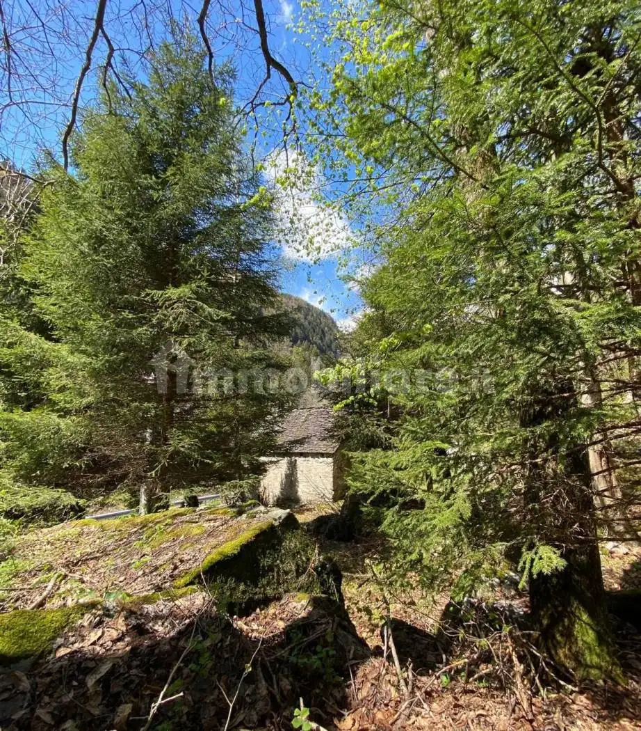 Villa unifamiliare Località Ponte Romano, Baceno - foto 3