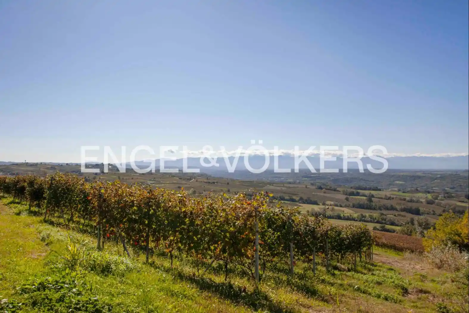 Rustico frazione Vergne, Barolo - foto 3