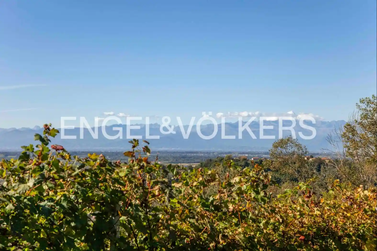 Rustico frazione Vergne, Barolo - foto 4