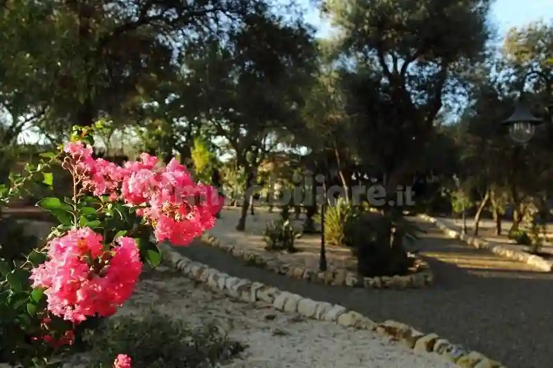 Palazzo - Edificio - foto 5