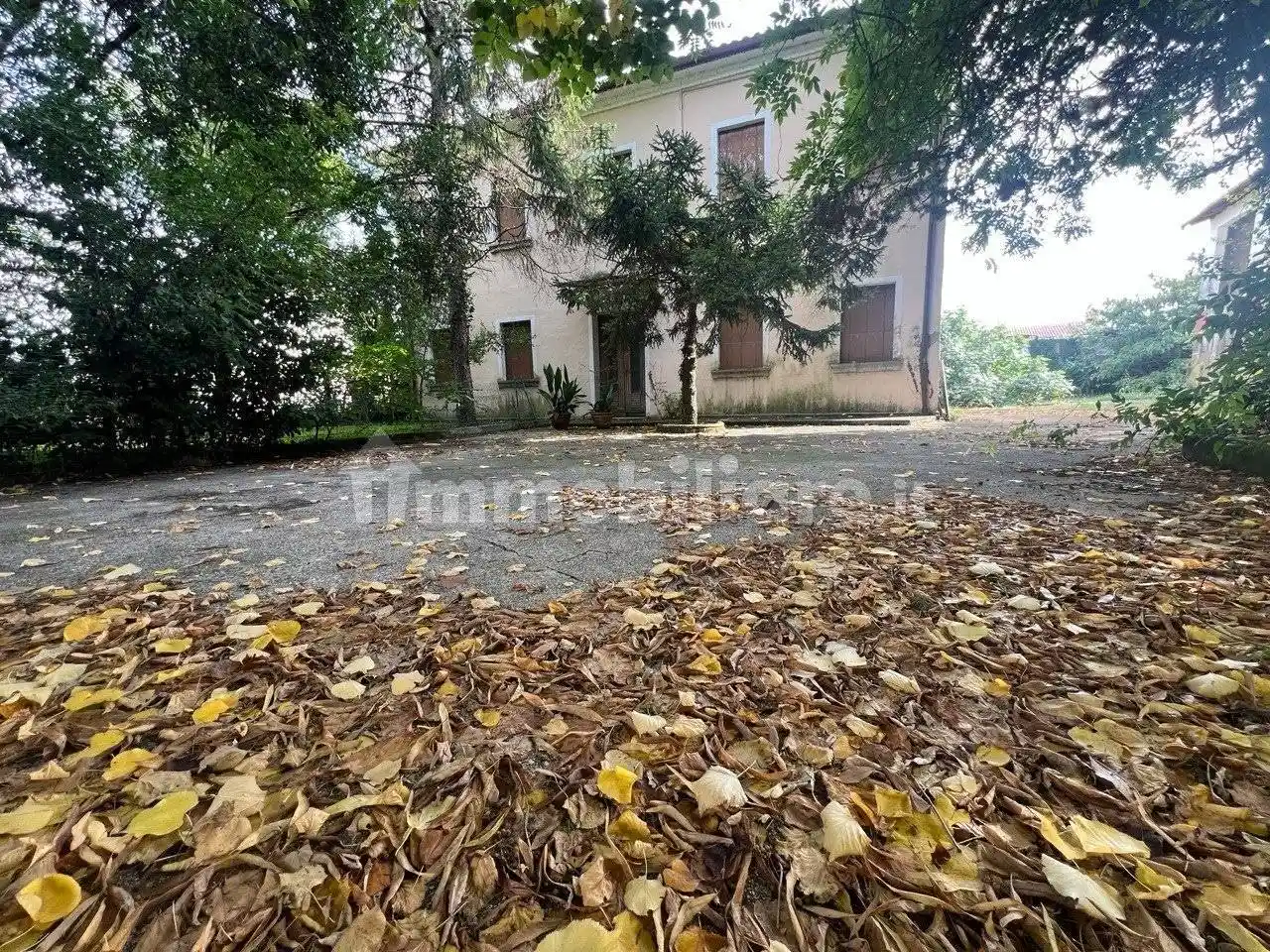 Rustico - Casale in vendita a Vedelago