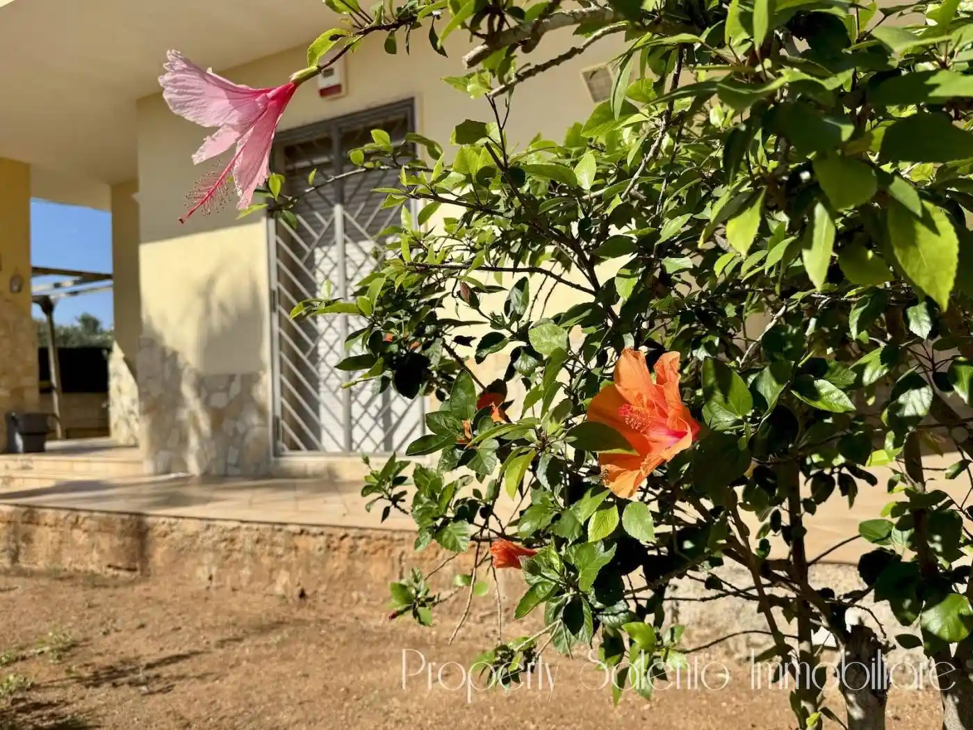 Villa in vendita a Racale