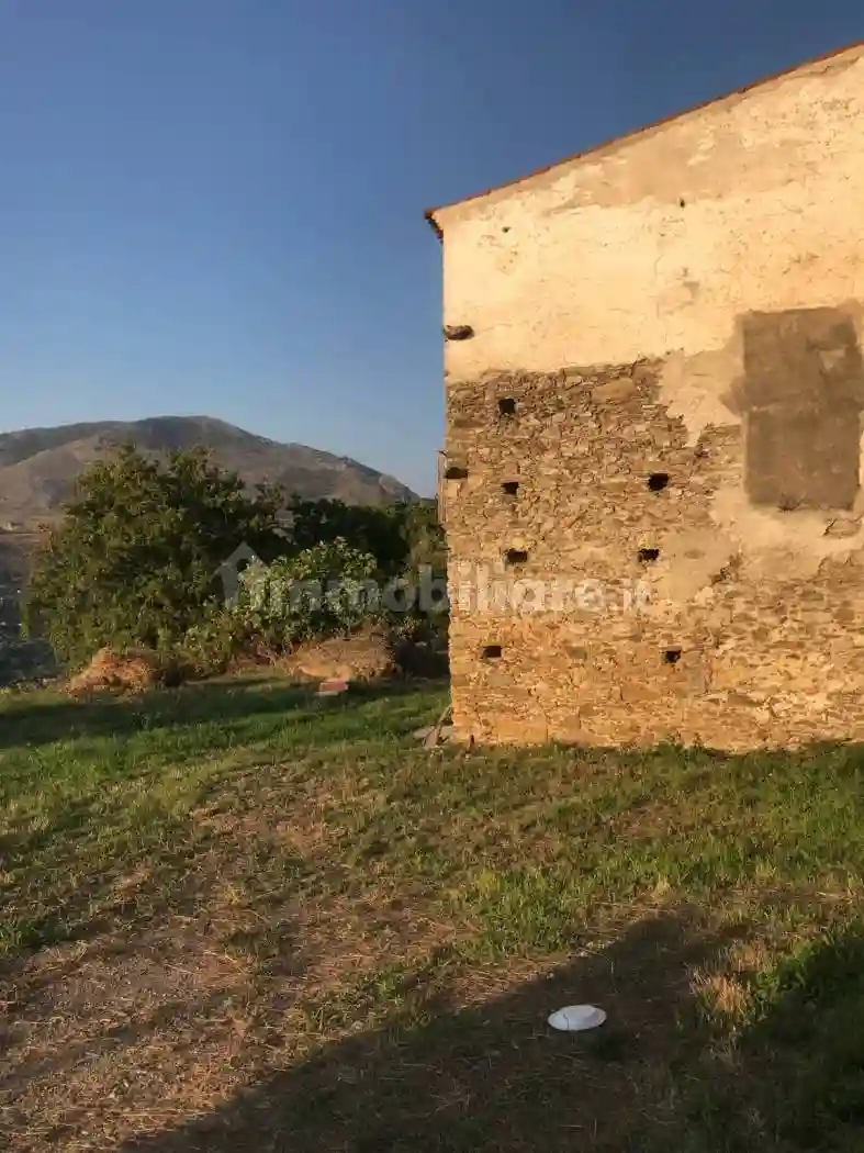 Rustico Contrada Ficobianco, Buonvicino - foto 4