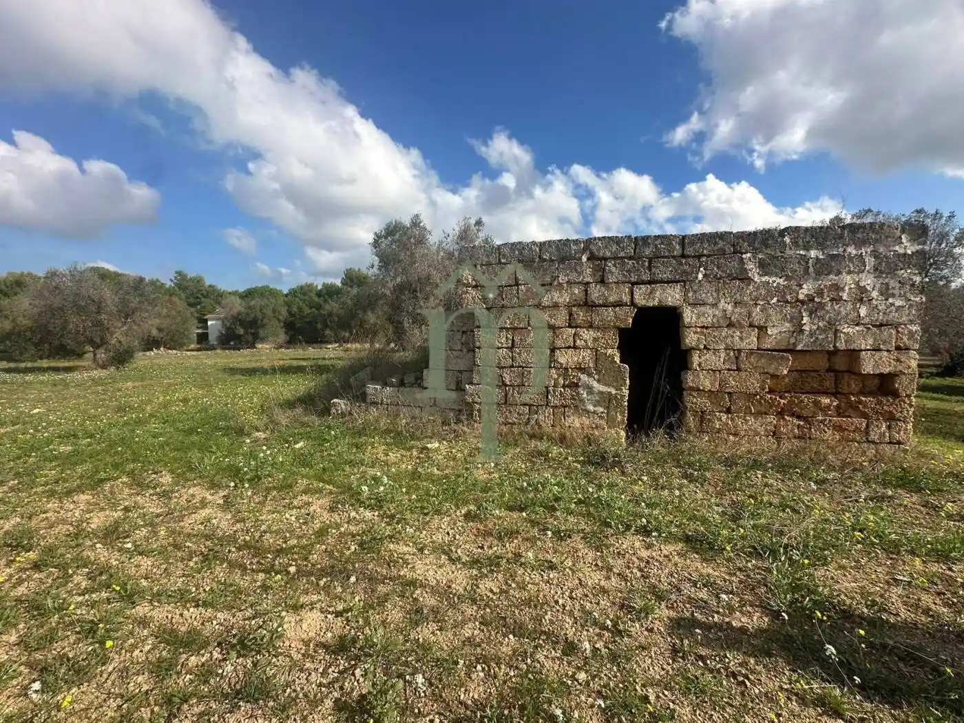 Rustico - Casale in vendita a San Vito dei Normanni