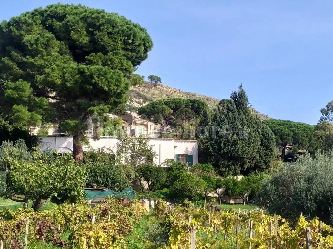 Rustico - Casale in vendita a Messina