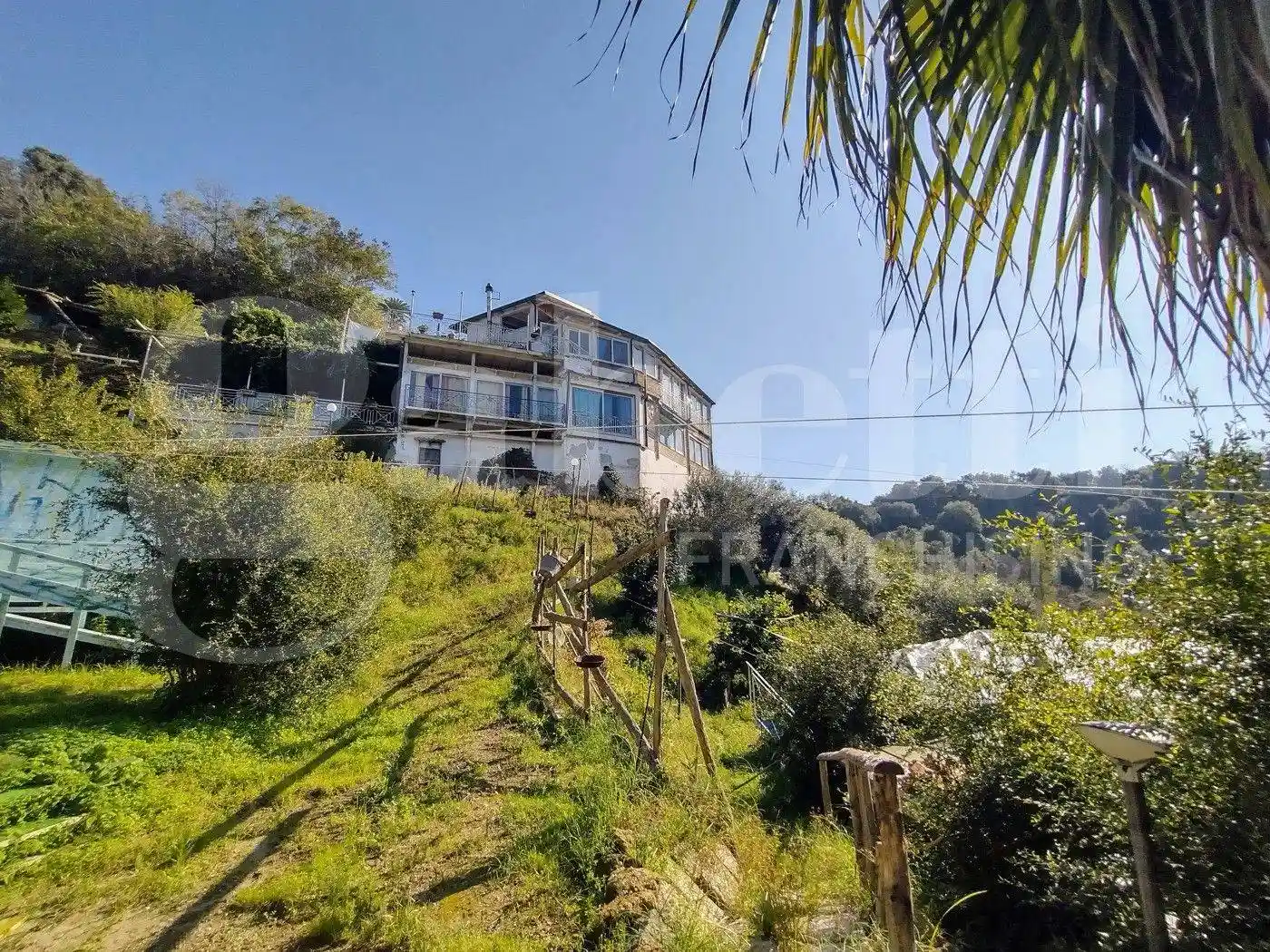 Palazzo - Edificio - foto 2