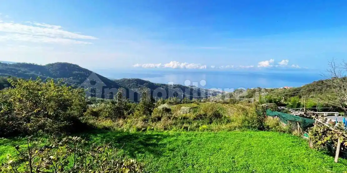 Villa bifamiliare Contrada Trifari, Belvedere Marittimo - foto 2
