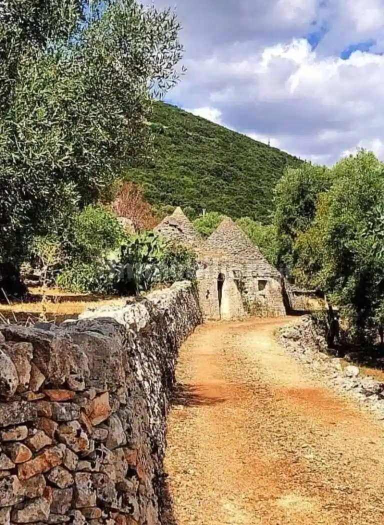 Rustico - Casale in vendita a Monopoli