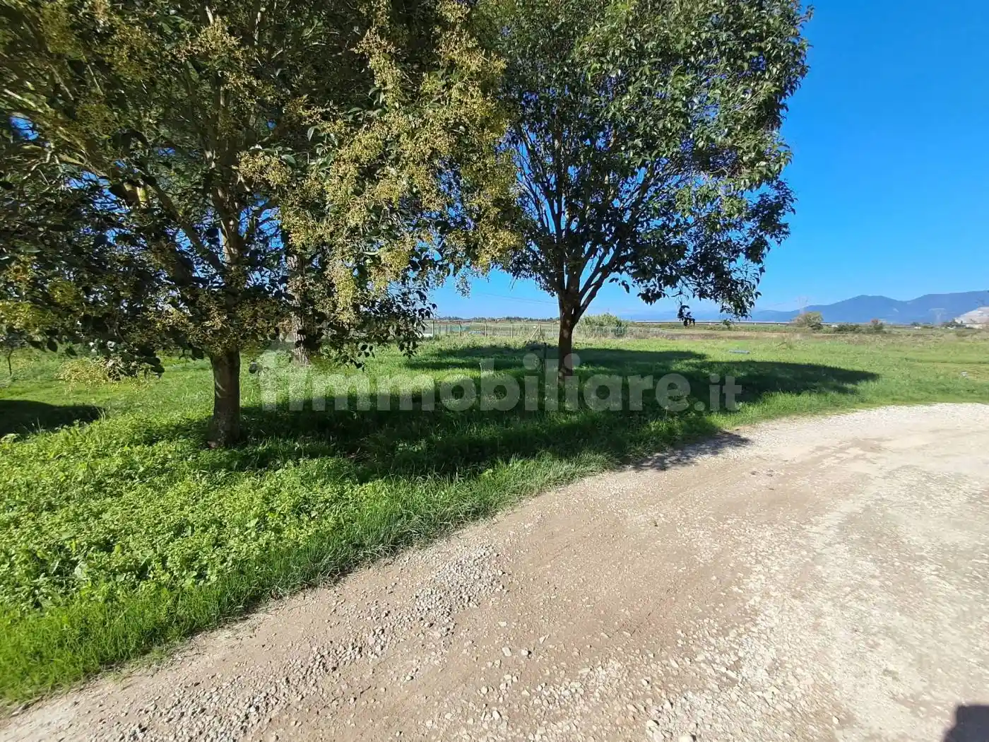 Casa indipendente in vendita a Crespina e Lorenzana