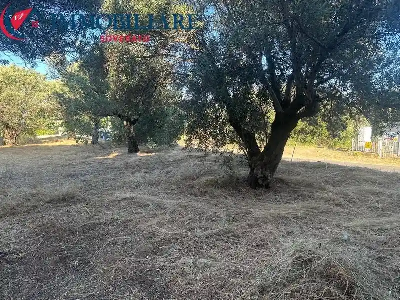 Quadrilocale via P. Tropea, Soverato Superiore, Soverato - foto 3