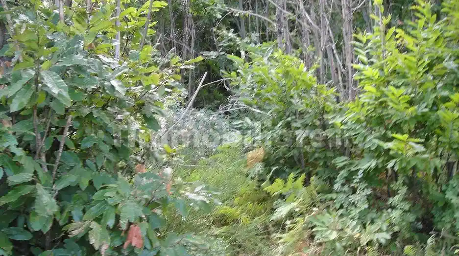 Villa a schiera via Ciesco 4, San Martino Valle Caudina - foto 2