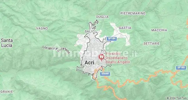 Appartamento in vendita a Acri