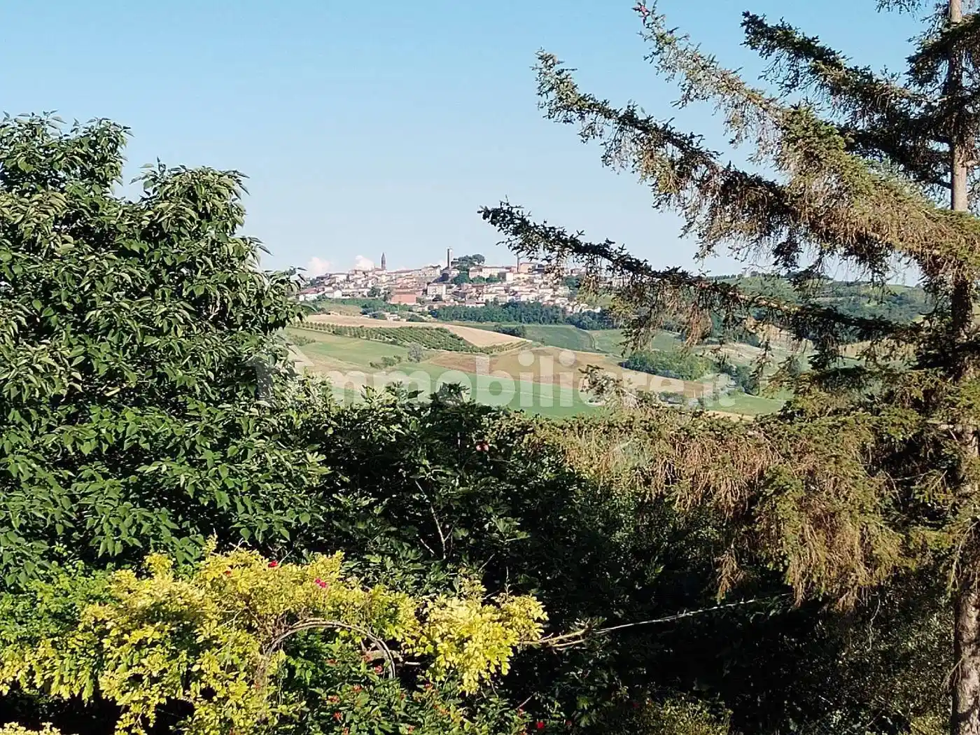 Casale via San Nicolao 1, Centro, Conzano - foto 3