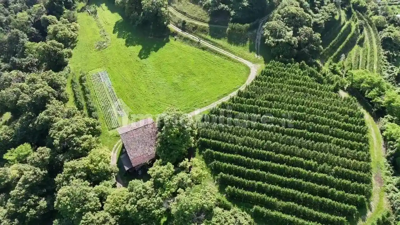 Maso via di San Carlo, Drena - foto 2