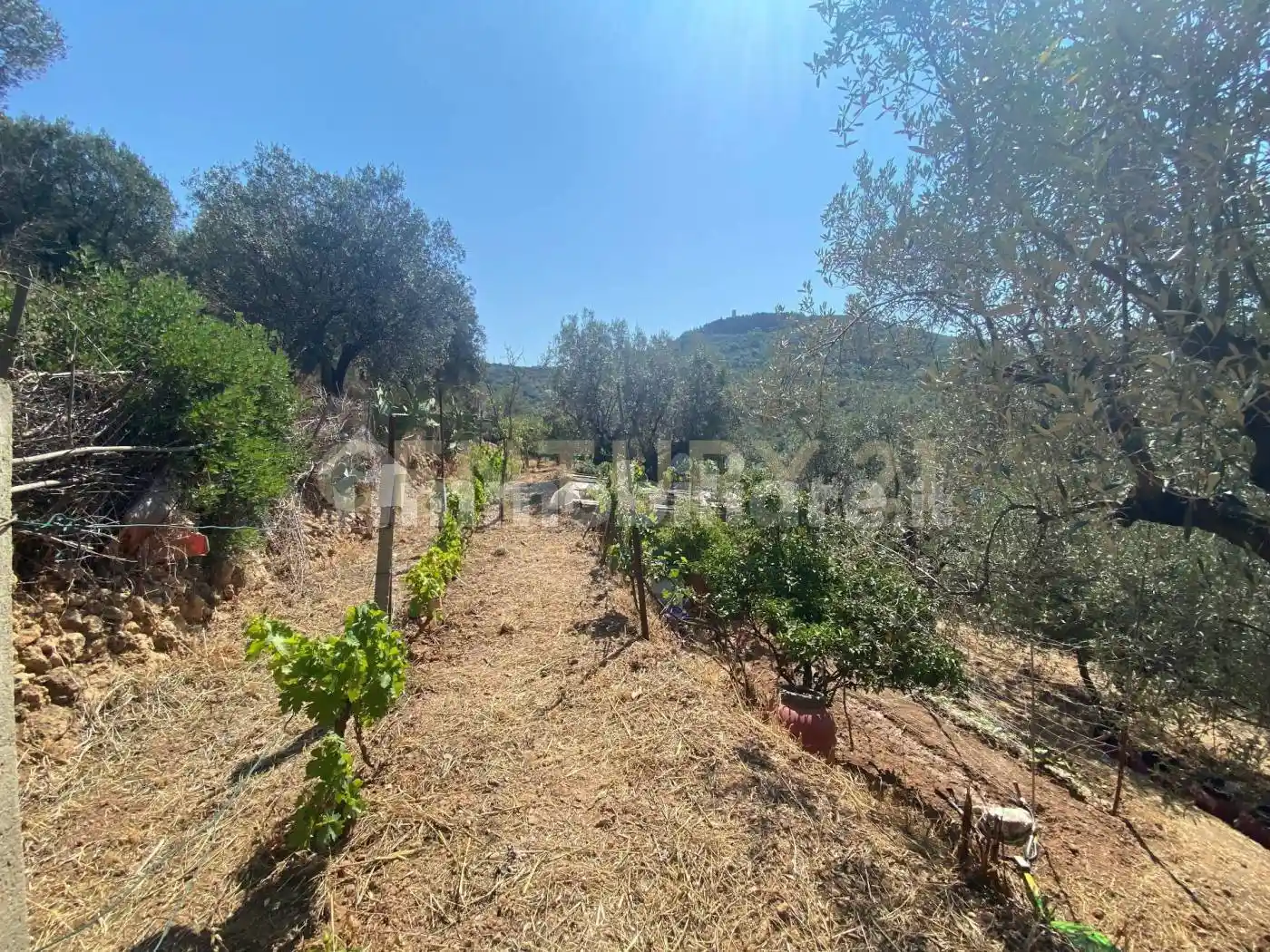 Rustico - Casale in vendita a Monte Argentario