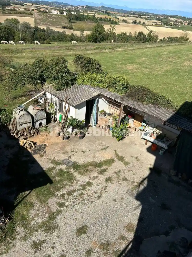 Palazzo - Edificio - foto 4