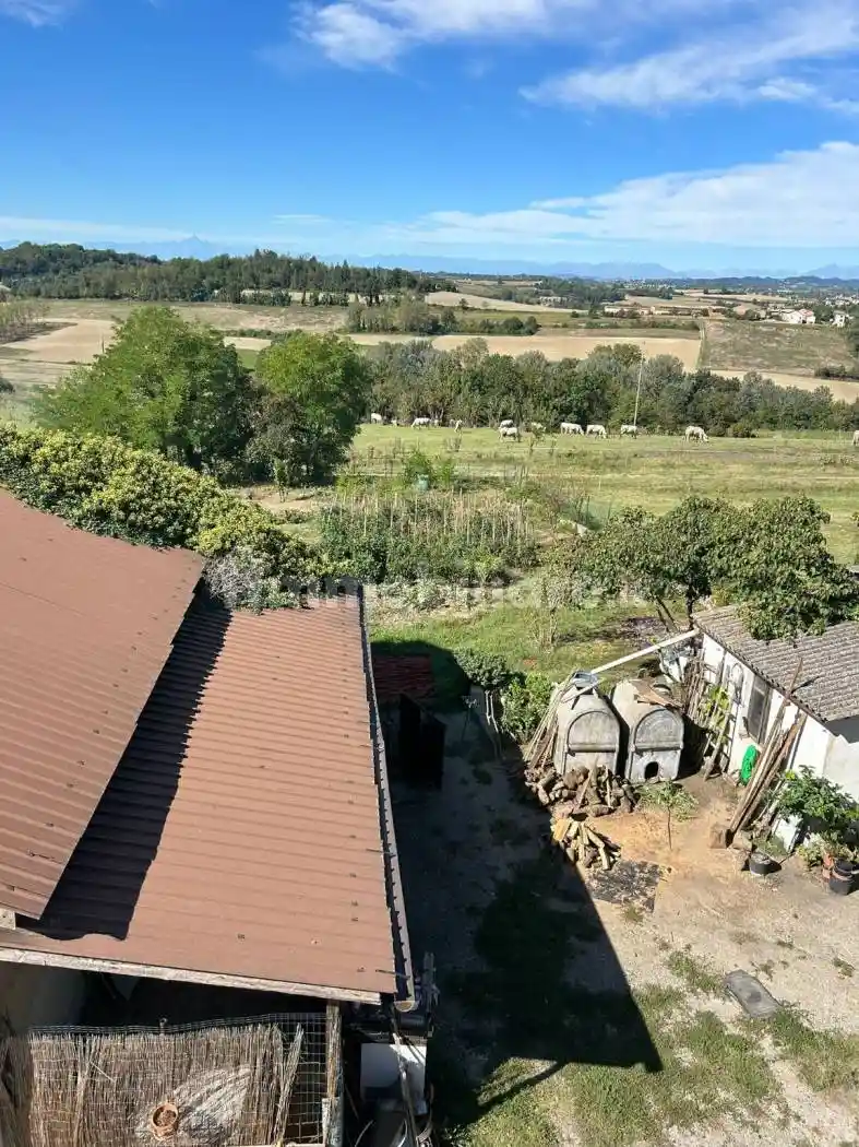 Palazzo - Edificio - foto 5