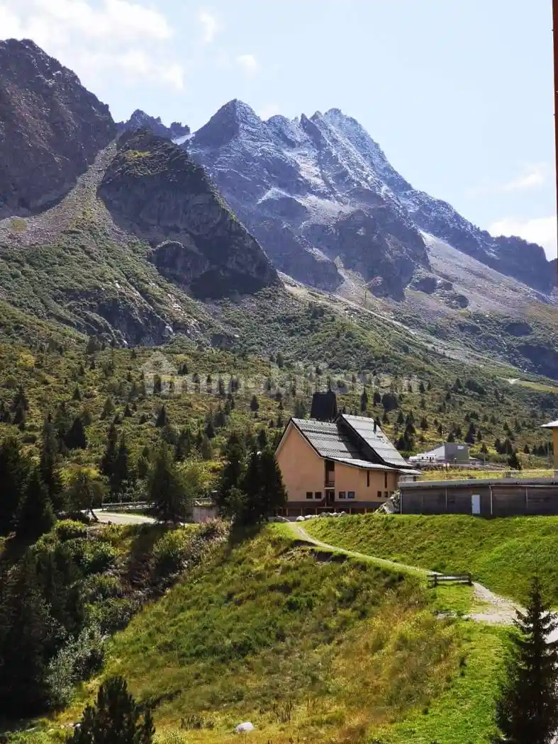 Appartamento in affitto a Ponte di Legno