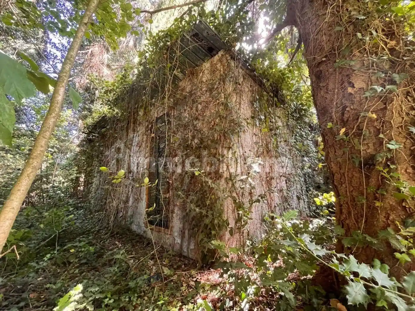 Rustico - Casale in vendita a Rocca Priora