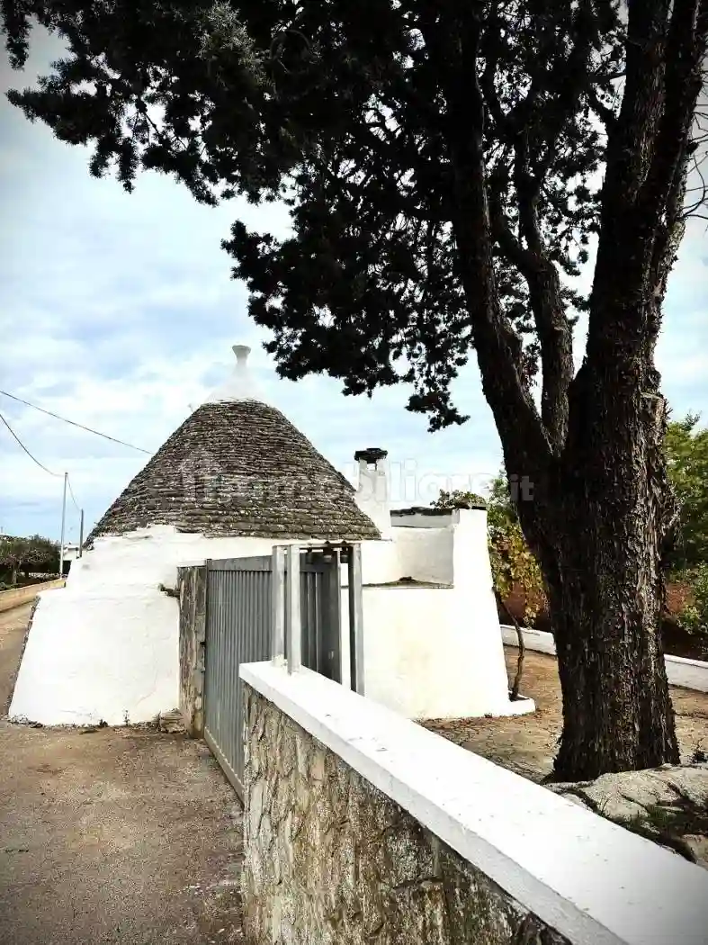 Rustico - Casale - foto 3