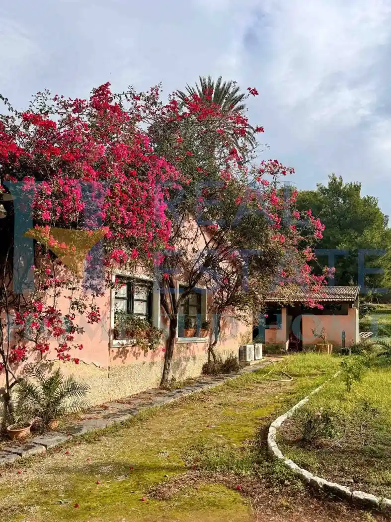 Casale via Agrigento, Cattolica Eraclea - foto 3