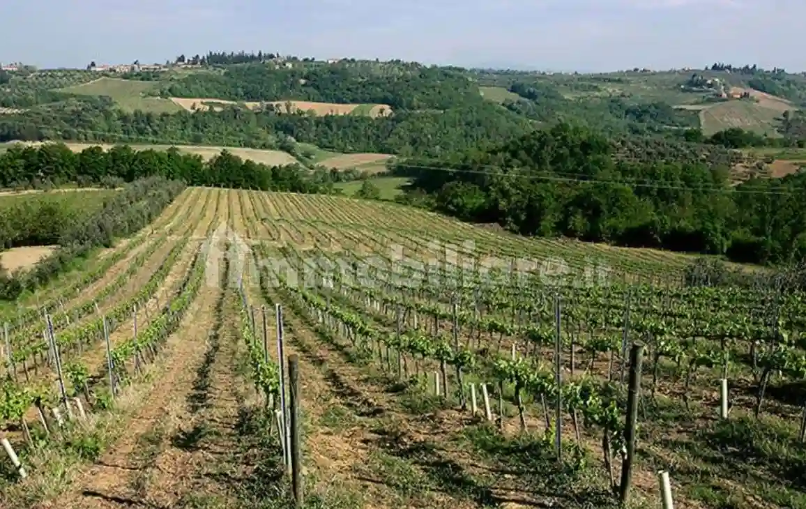 Rustico - Casale - foto 5