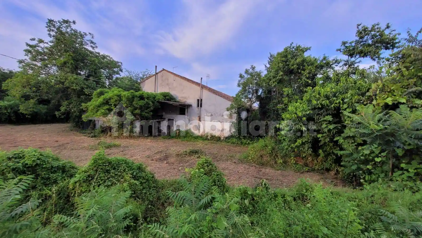 Rustico - Casale in vendita a Cittadella