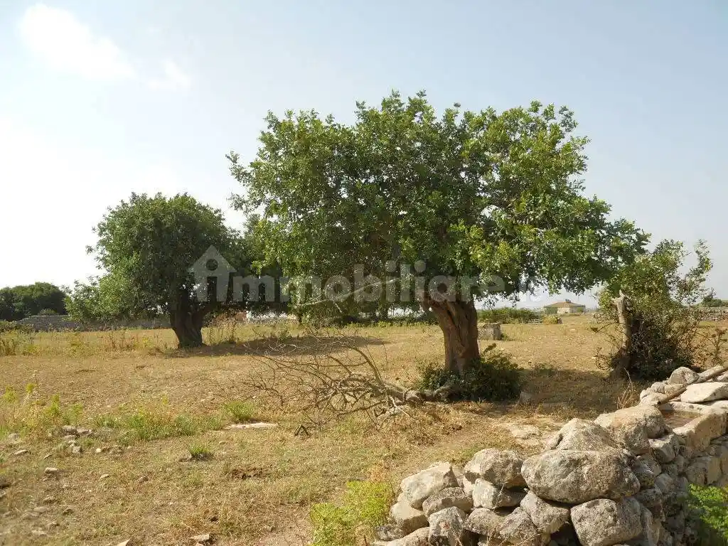 Villa unifamiliare via Crocevia 80, Musebbi I, Modica - foto 5