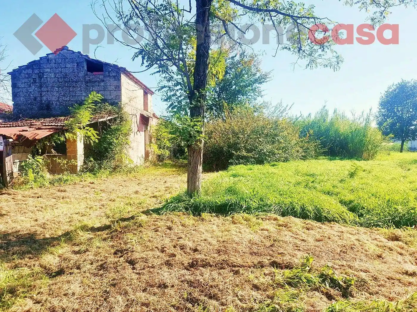 Rustico - Casale in vendita a Colfelice