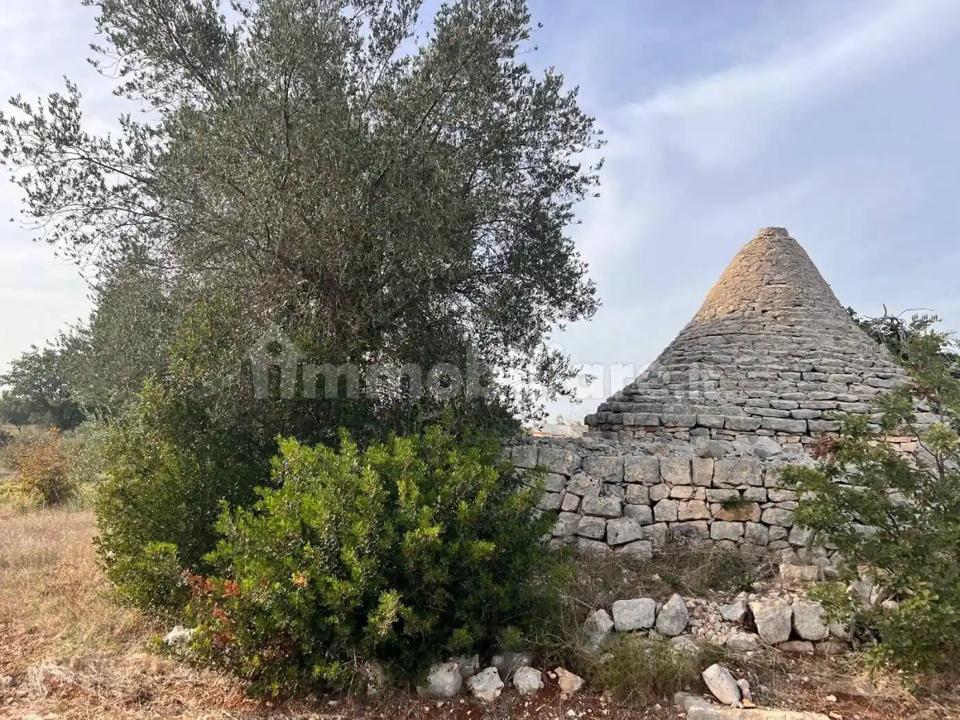 Rustico - Casale in vendita a Polignano a Mare