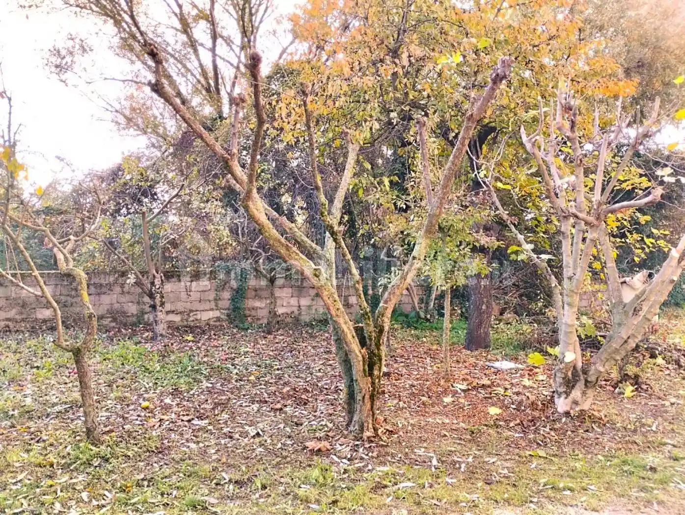 Quadrilocale via Celano 52, Centro, Avezzano - foto 3