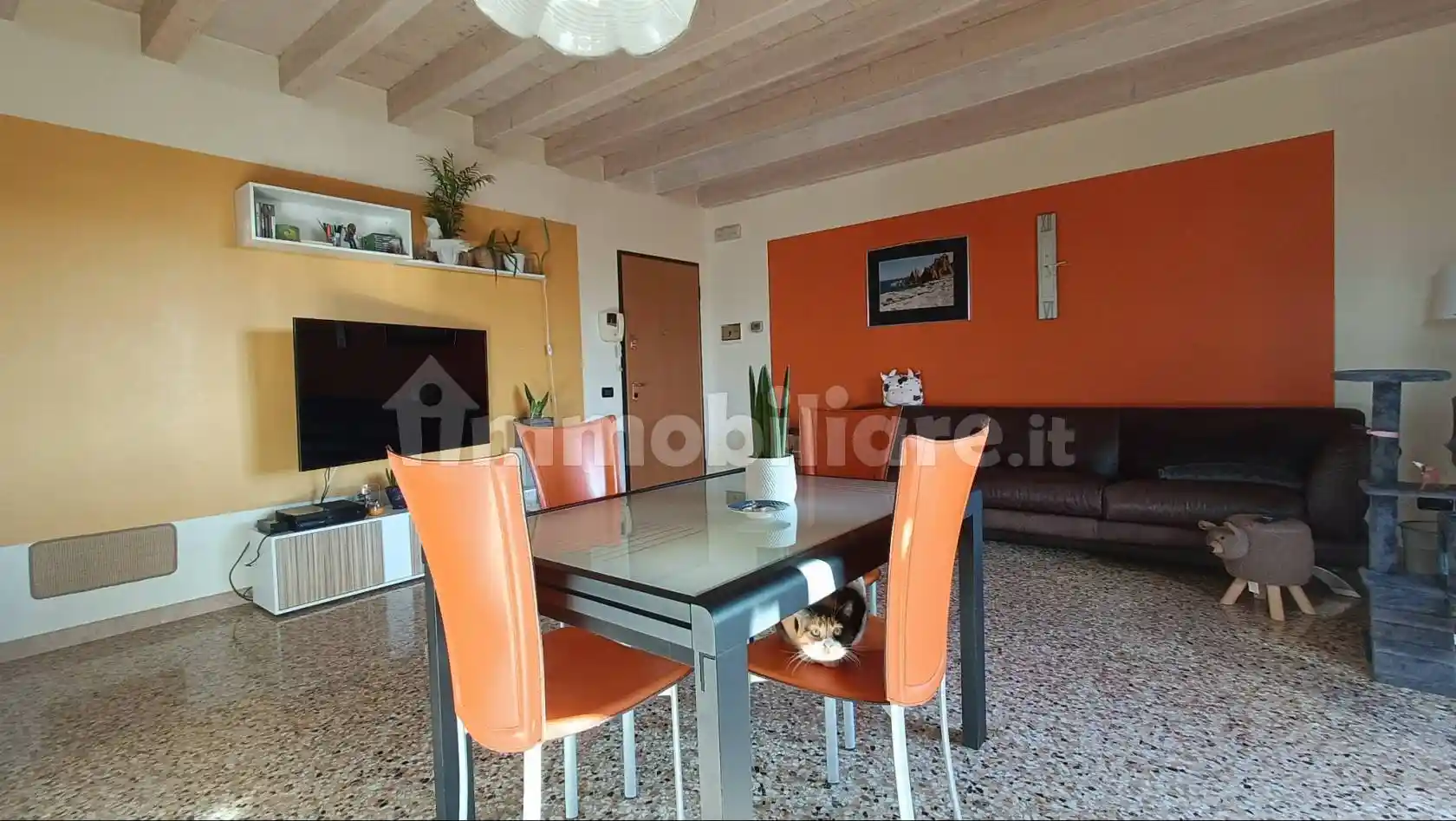 Appartamento in vendita a Fontaniva