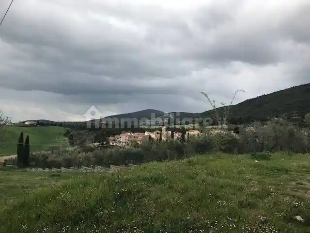 Appartamento in affitto a Santa Luce
