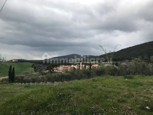 Appartamento in affitto a Santa Luce