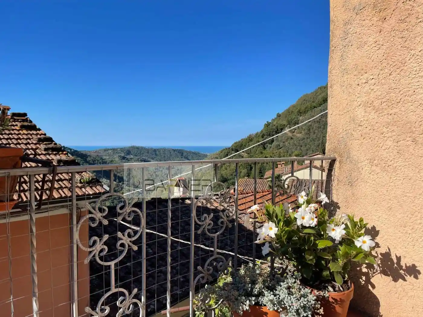 Rustico - Casale in vendita a Camaiore