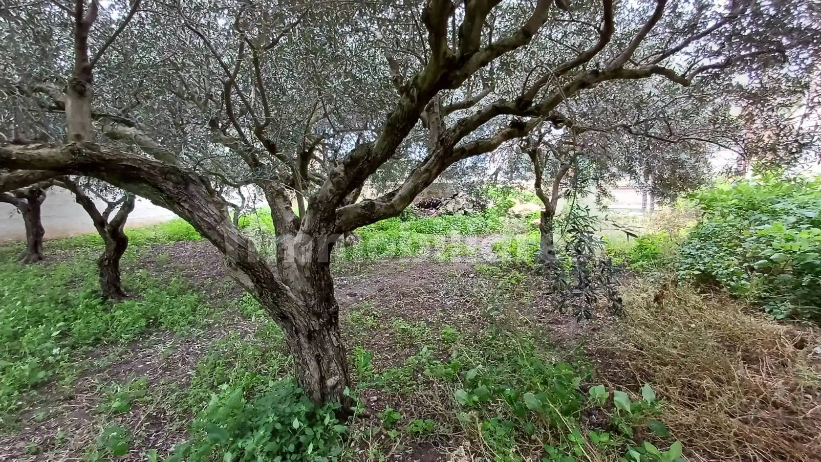 Rustico - Casale in vendita a Marsala