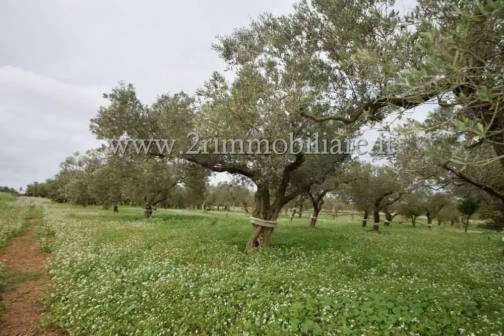 Rustico via Giuffo, Mazara Due, Borgata Costiera, Mazara del Vallo - foto 2