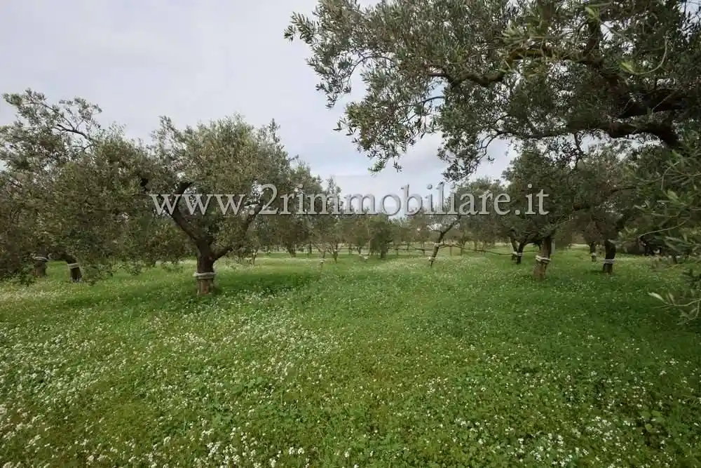 Rustico via Giuffo, Mazara Due, Borgata Costiera, Mazara del Vallo - foto 3