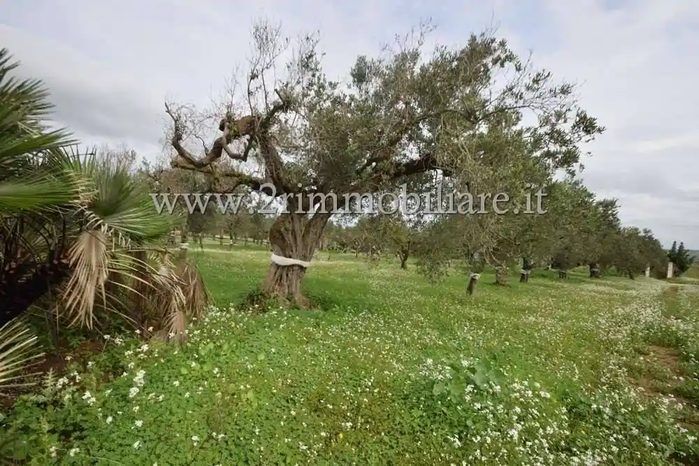 Rustico via Giuffo, Mazara Due, Borgata Costiera, Mazara del Vallo - foto 5