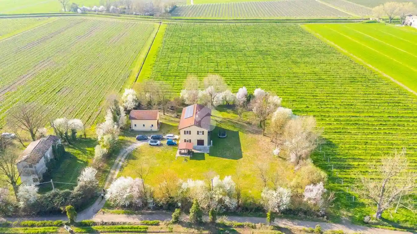 Villa - foto 4