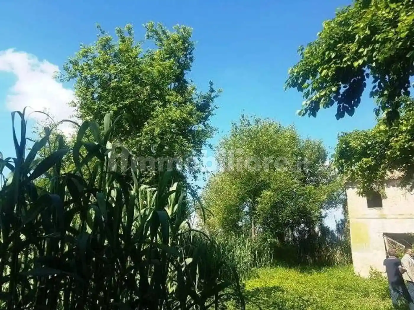 Rustico - Casale in vendita a Castelfidardo