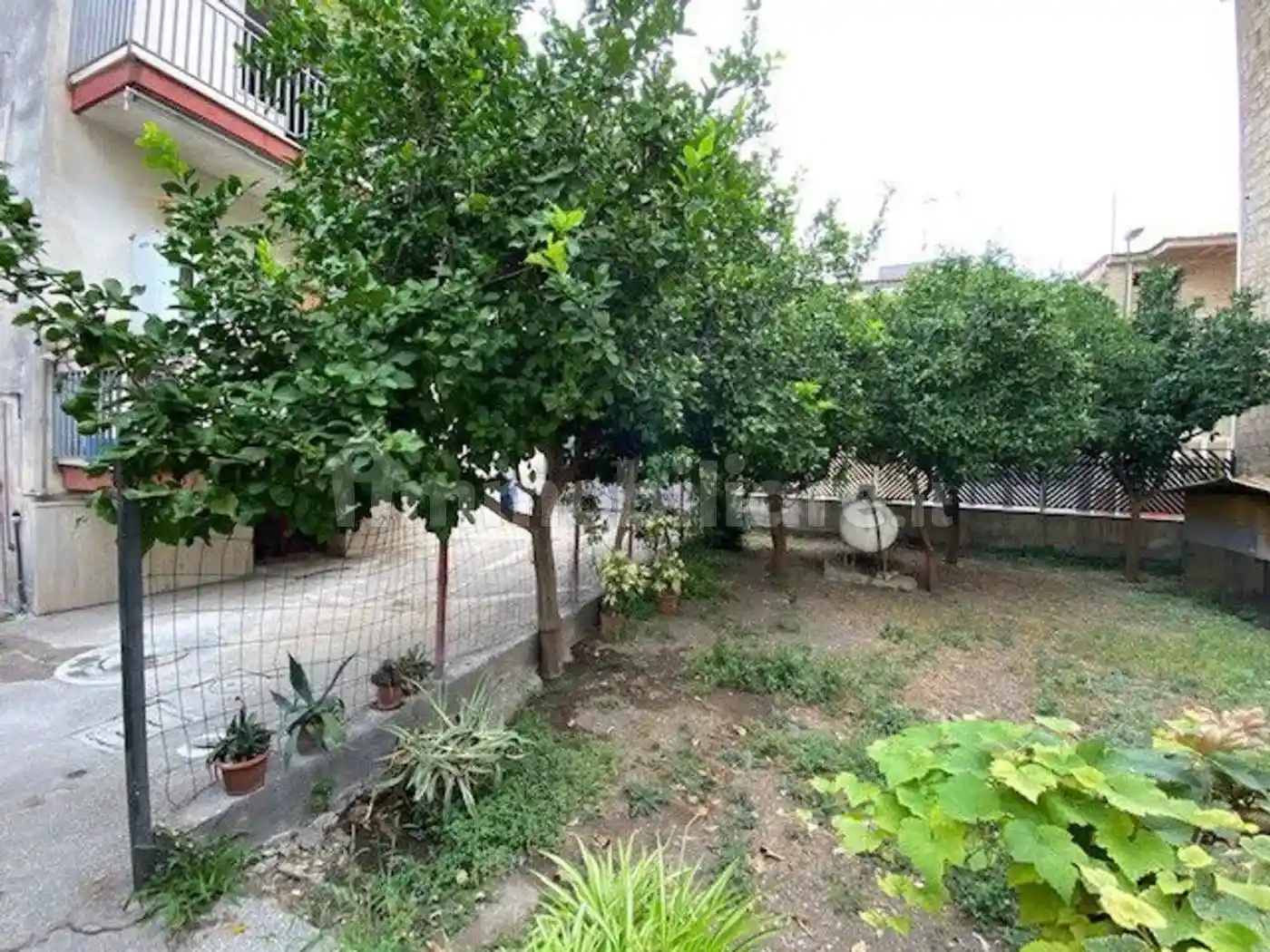 Palazzo - Edificio - foto 4