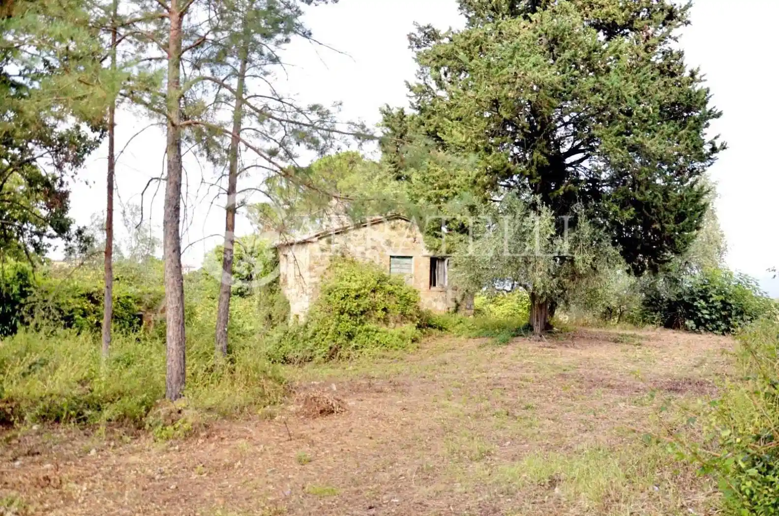 Rustico - Casale in vendita a San Casciano dei Bagni