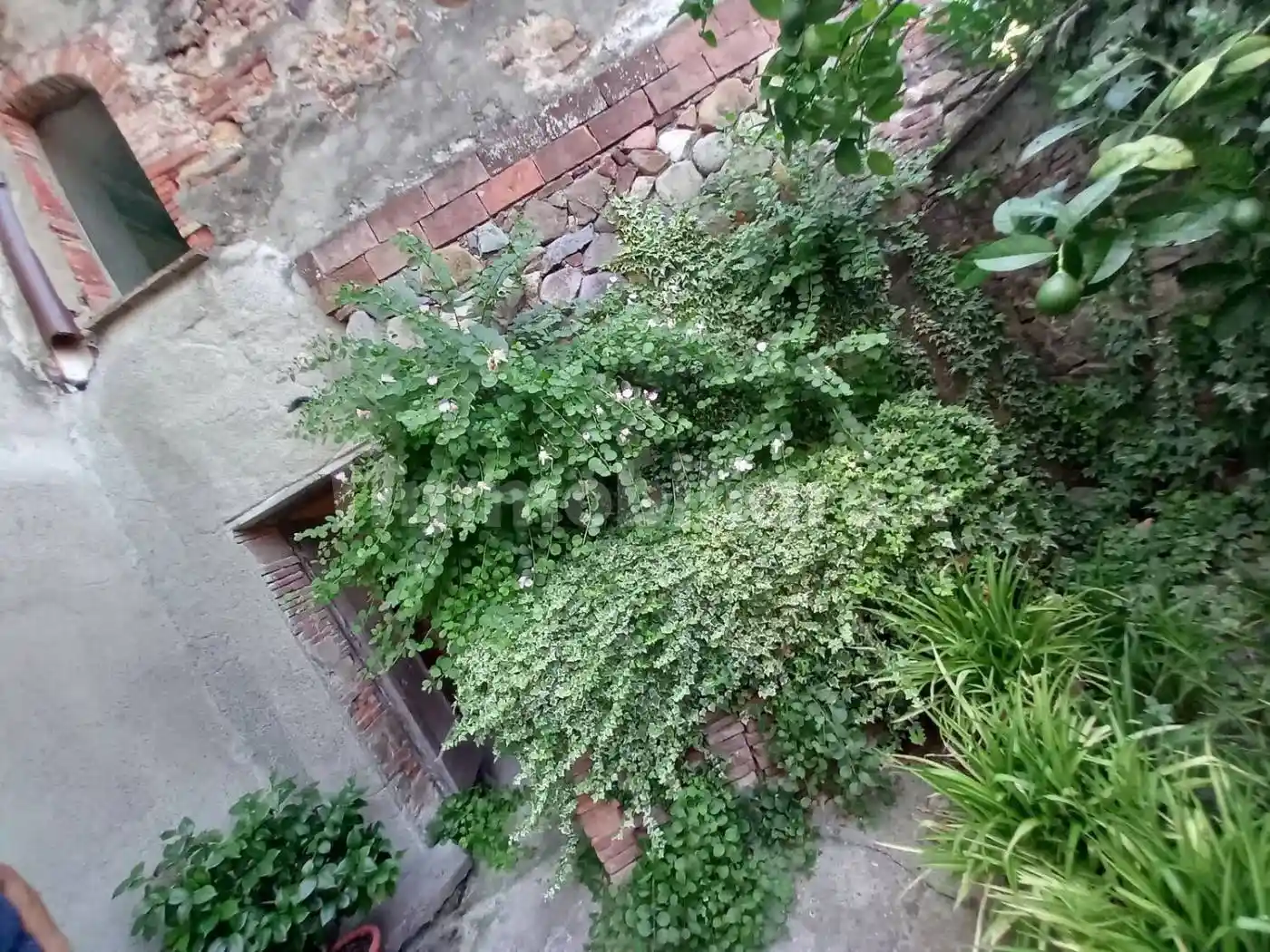 Rustico - Casale in vendita a Capannori