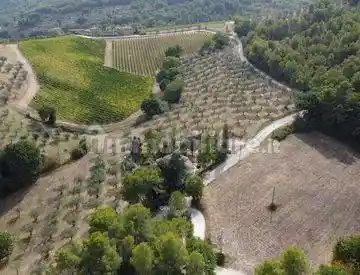 Rustico - Casale in vendita a Bevagna