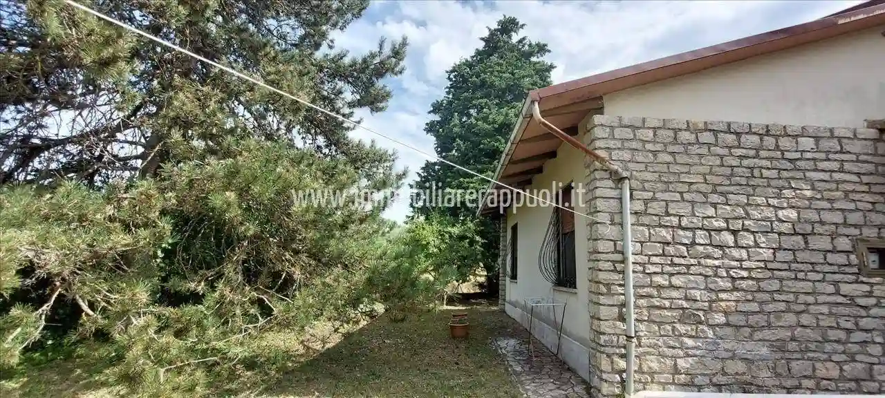 Casa indipendente - foto 3